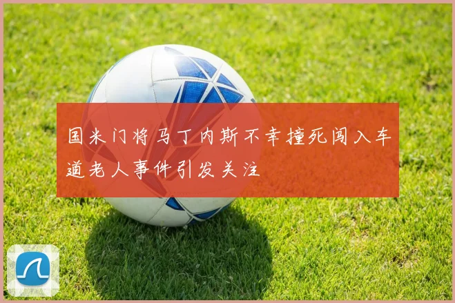 国米门将马丁内斯不幸撞死闯入车道老人事件引发关注